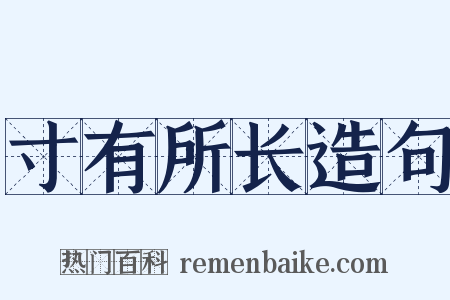 寸有所长造句是什么意思的图片